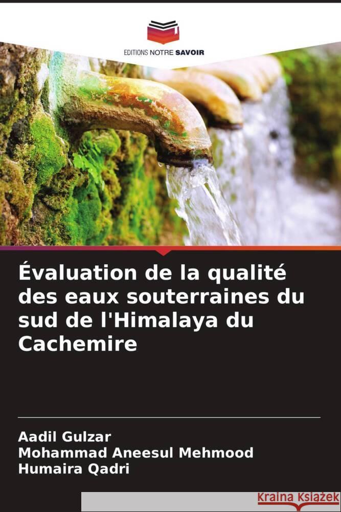 Évaluation de la qualité des eaux souterraines du sud de l'Himalaya du Cachemire Gulzar, Aadil, Mehmood, Mohammad Aneesul, Qadri, Humaira 9786205449103