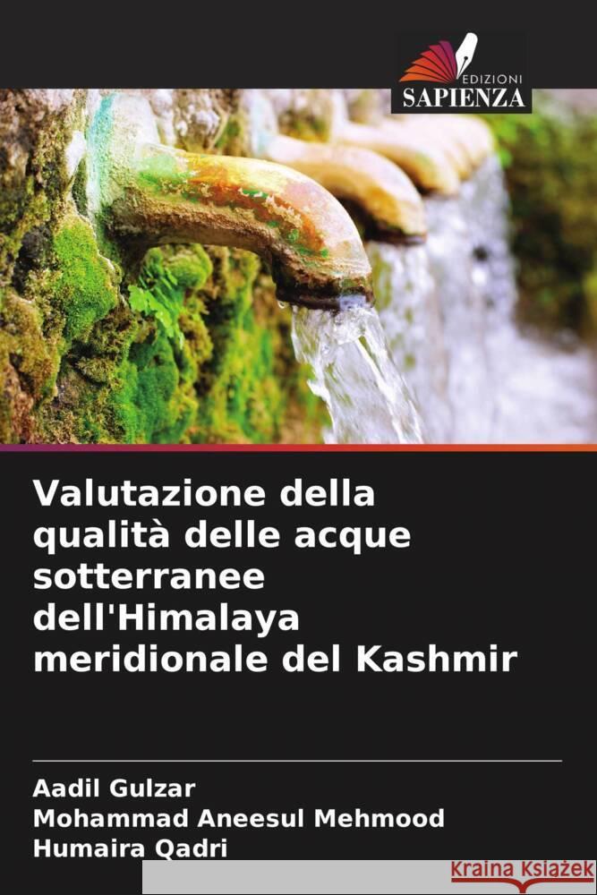 Valutazione della qualità delle acque sotterranee dell'Himalaya meridionale del Kashmir Gulzar, Aadil, Mehmood, Mohammad Aneesul, Qadri, Humaira 9786205449127