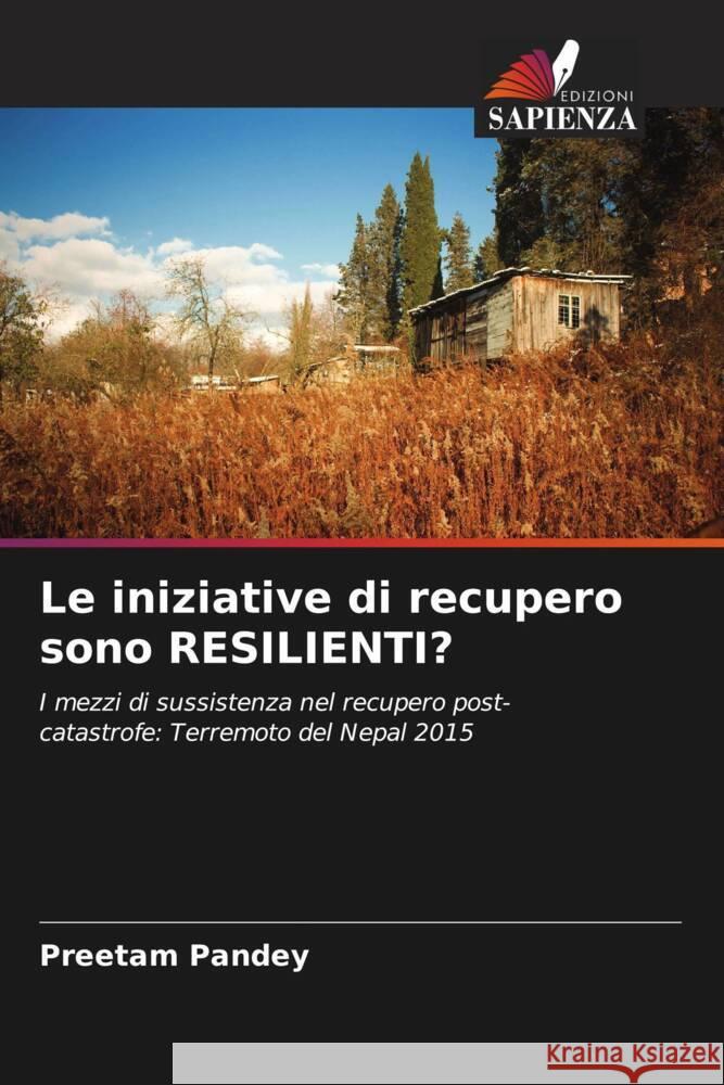 Le iniziative di recupero sono RESILIENTI? Pandey, Preetam 9786205453933