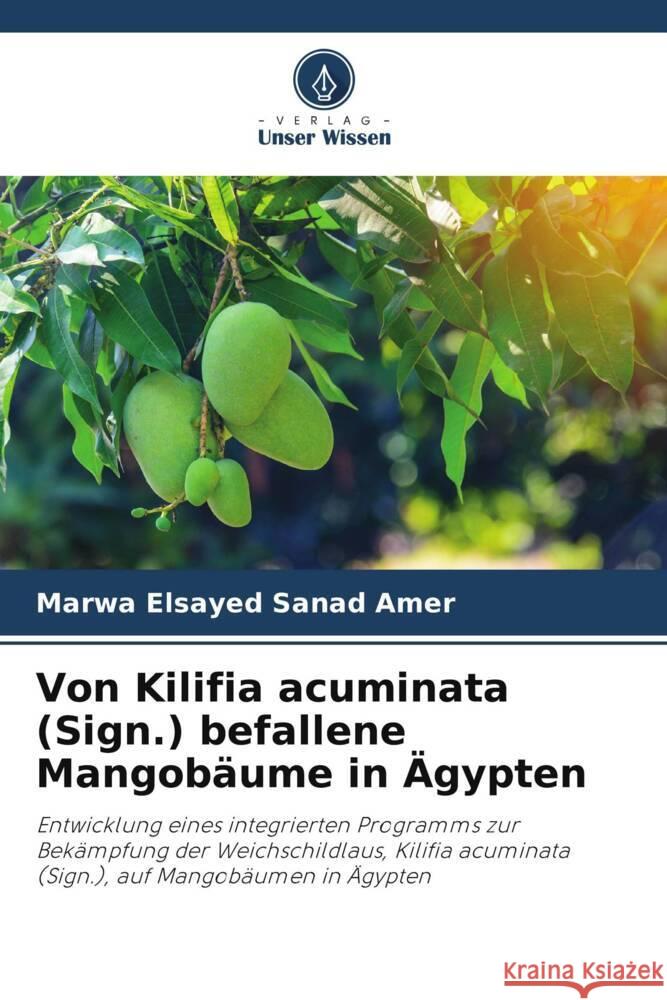 Von Kilifia acuminata (Sign.) befallene Mangobäume in Ägypten Sanad Amer, Marwa Elsayed 9786205460344 Verlag Unser Wissen
