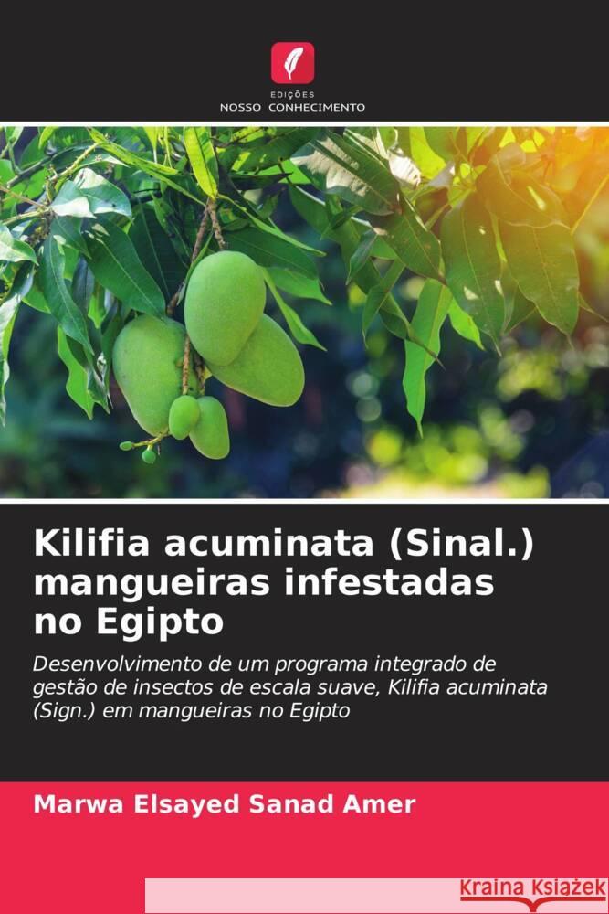 Kilifia acuminata (Sinal.) mangueiras infestadas no Egipto Sanad Amer, Marwa Elsayed 9786205460382 Edições Nosso Conhecimento