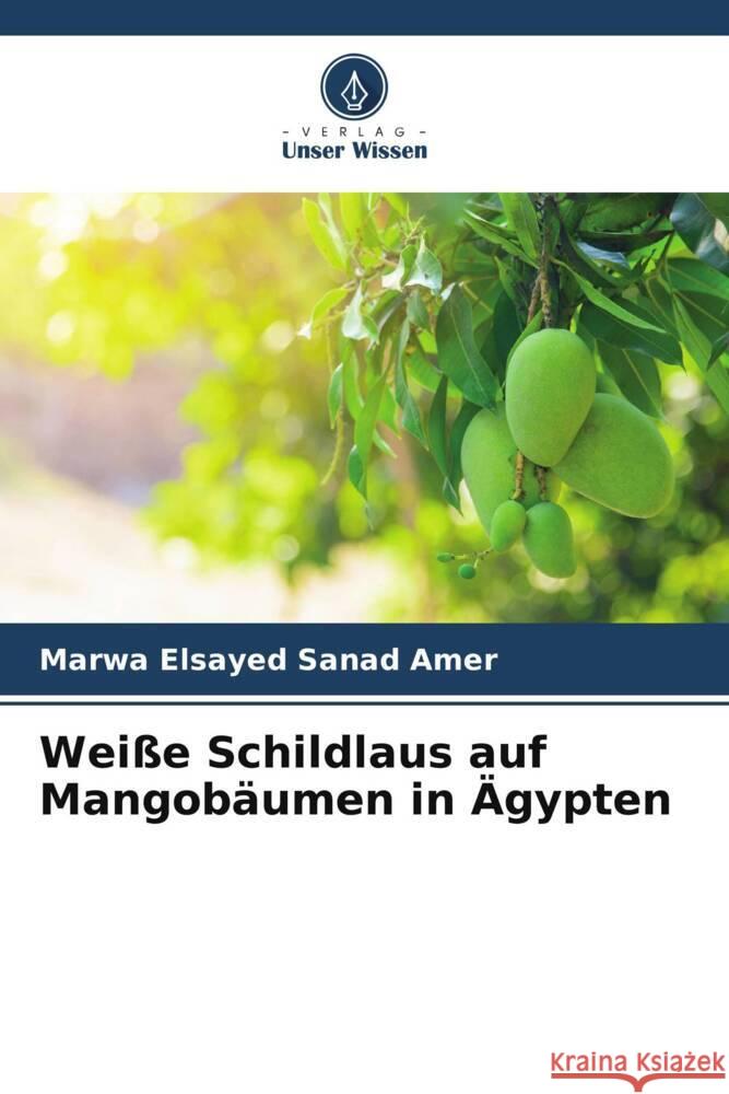 Weiße Schildlaus auf Mangobäumen in Ägypten Sanad Amer, Marwa Elsayed 9786205468739 Verlag Unser Wissen