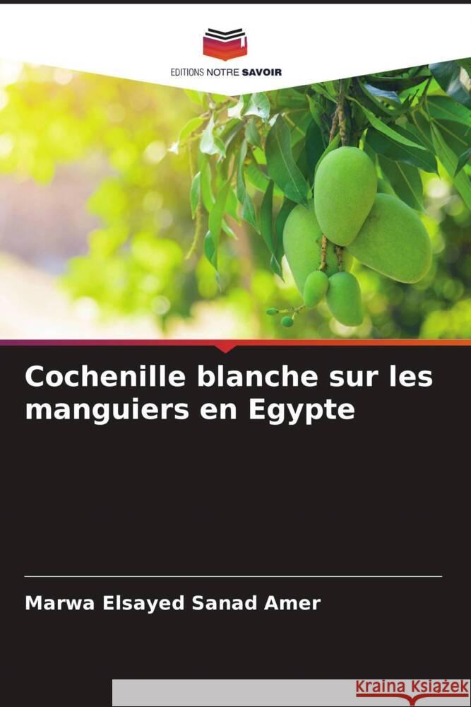 Cochenille blanche sur les manguiers en Egypte Sanad Amer, Marwa Elsayed 9786205468746 Editions Notre Savoir
