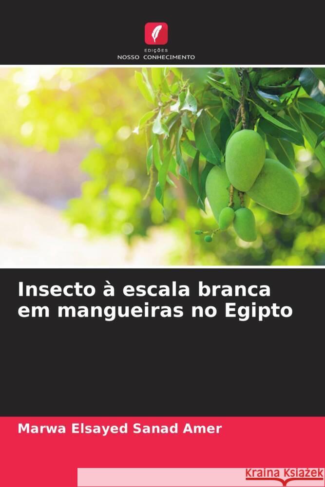 Insecto à escala branca em mangueiras no Egipto Sanad Amer, Marwa Elsayed 9786205468760 Edições Nosso Conhecimento