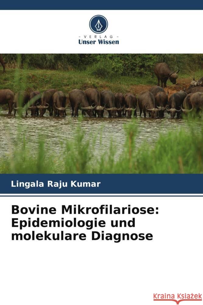 Bovine Mikrofilariose: Epidemiologie und molekulare Diagnose Raju kumar, Lingala 9786205474907