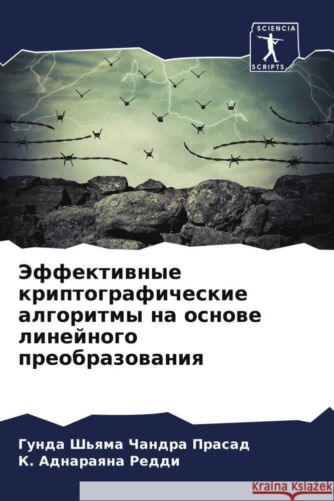 Jeffektiwnye kriptograficheskie algoritmy na osnowe linejnogo preobrazowaniq Sh'qma Chandra Prasad, Gunda, Adnaraqna Reddi, K. 9786205485842