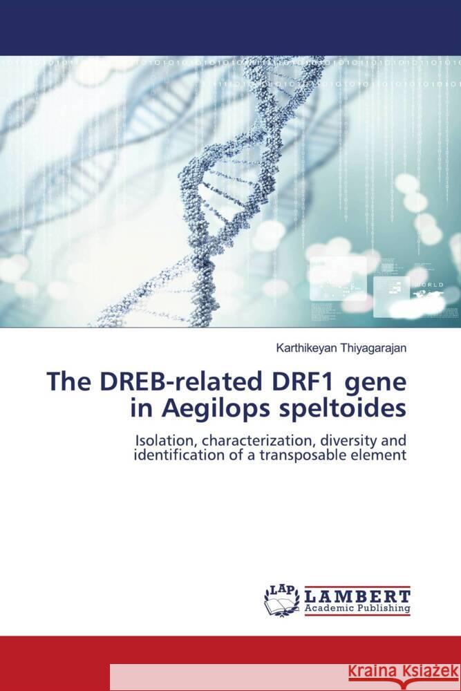 The DREB-related DRF1 gene in Aegilops speltoides Thiyagarajan, Karthikeyan 9786205490327