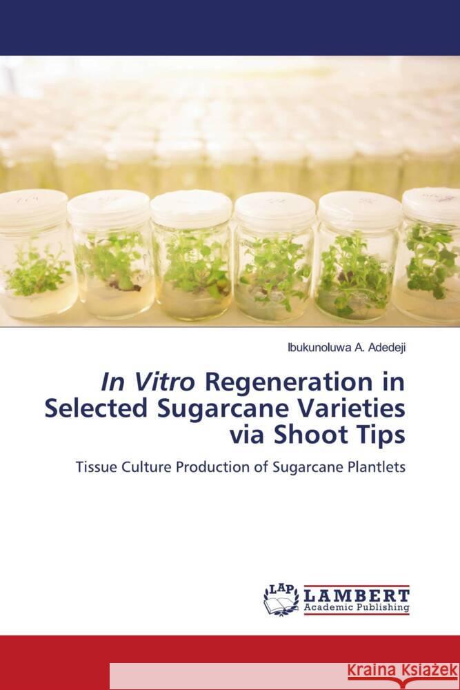 In Vitro Regeneration in Selected Sugarcane Varieties via Shoot Tips A. Adedeji, Ibukunoluwa 9786205511268 LAP Lambert Academic Publishing