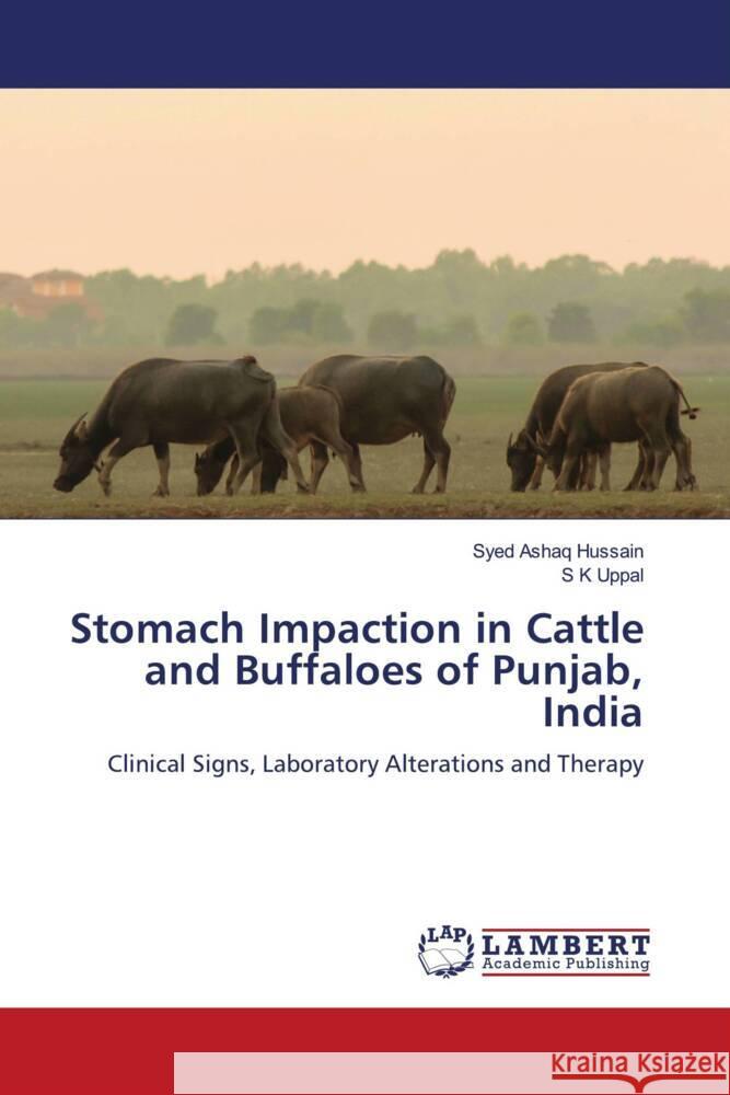 Stomach Impaction in Cattle and Buffaloes of Punjab, India Hussain, Syed Ashaq, Uppal, S K 9786205520154 LAP Lambert Academic Publishing