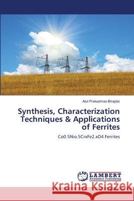 Synthesis, Characterization Techniques & Applications of Ferrites Birajdar, Atul Prakashrao 9786205528075