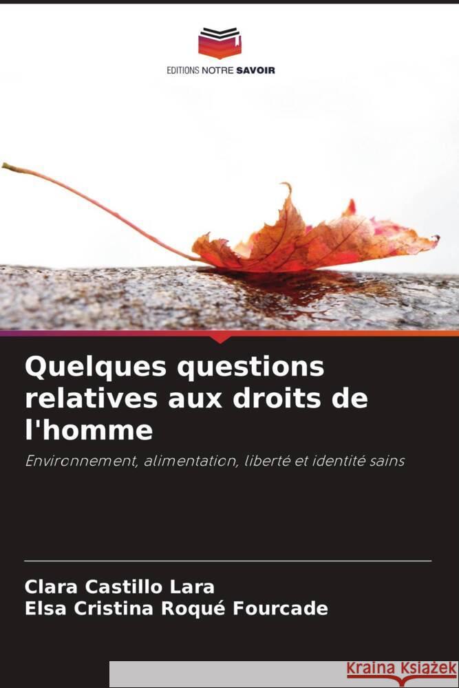Quelques questions relatives aux droits de l'homme Castillo Lara, Clara, Roqué Fourcade, Elsa Cristina 9786205532782