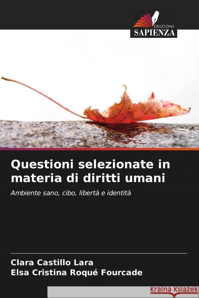 Questioni selezionate in materia di diritti umani Castillo Lara, Clara, Roqué Fourcade, Elsa Cristina 9786205534380