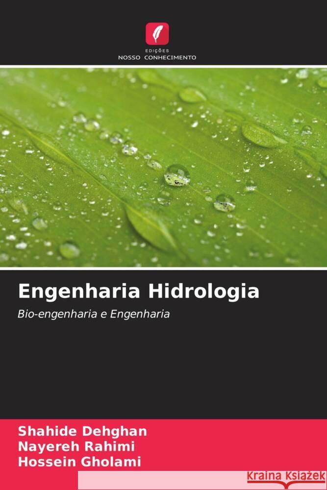 Engenharia Hidrologia Dehghan, Shahide, Rahimi, Nayereh, Gholami, Hossein 9786205544914 Edições Nosso Conhecimento