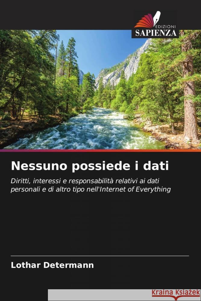 Nessuno possiede i dati Determann, Lothar 9786205545157