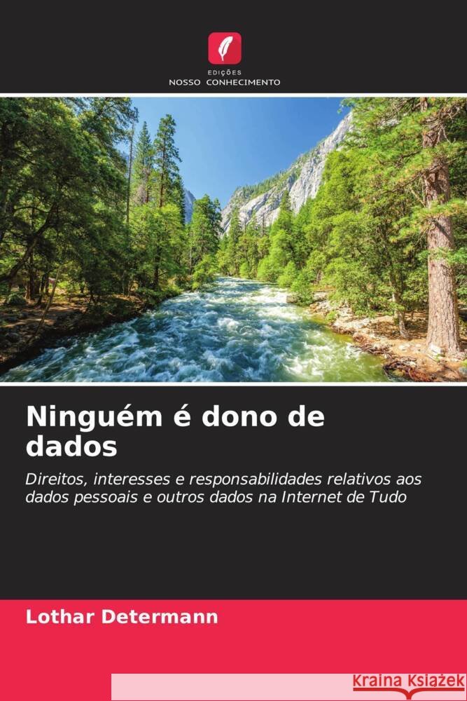 Ninguém é dono de dados Determann, Lothar 9786205545164