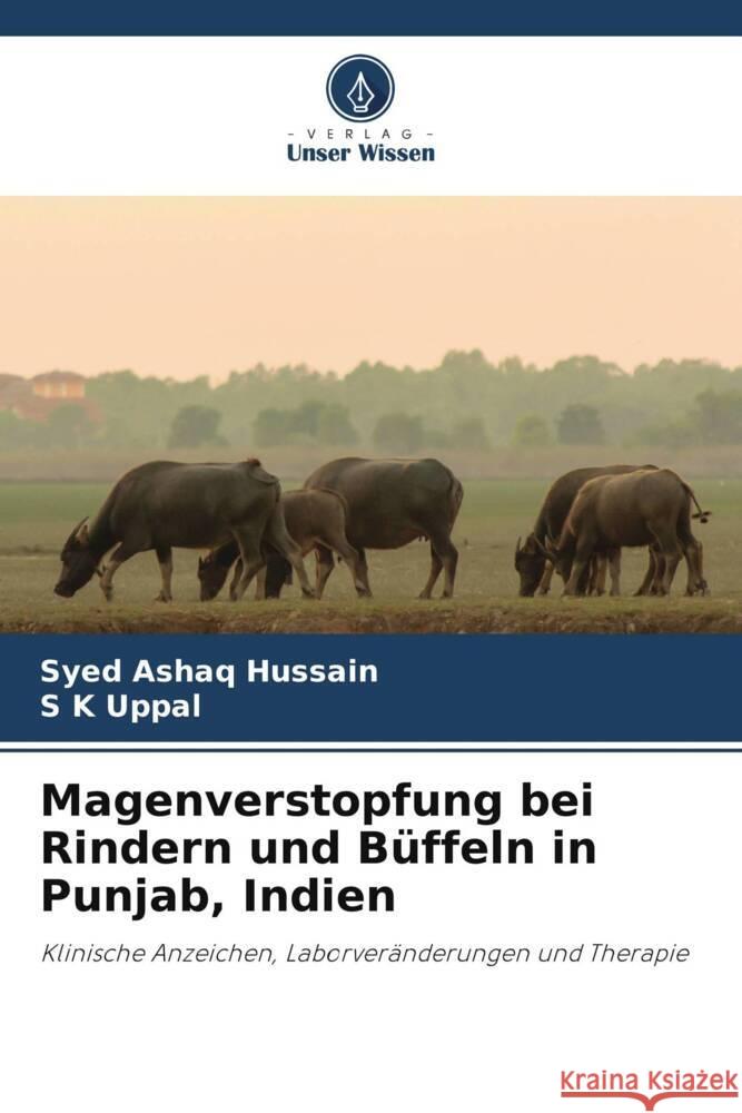 Magenverstopfung bei Rindern und Büffeln in Punjab, Indien Hussain, Syed Ashaq, Uppal, S K 9786205551189 Verlag Unser Wissen