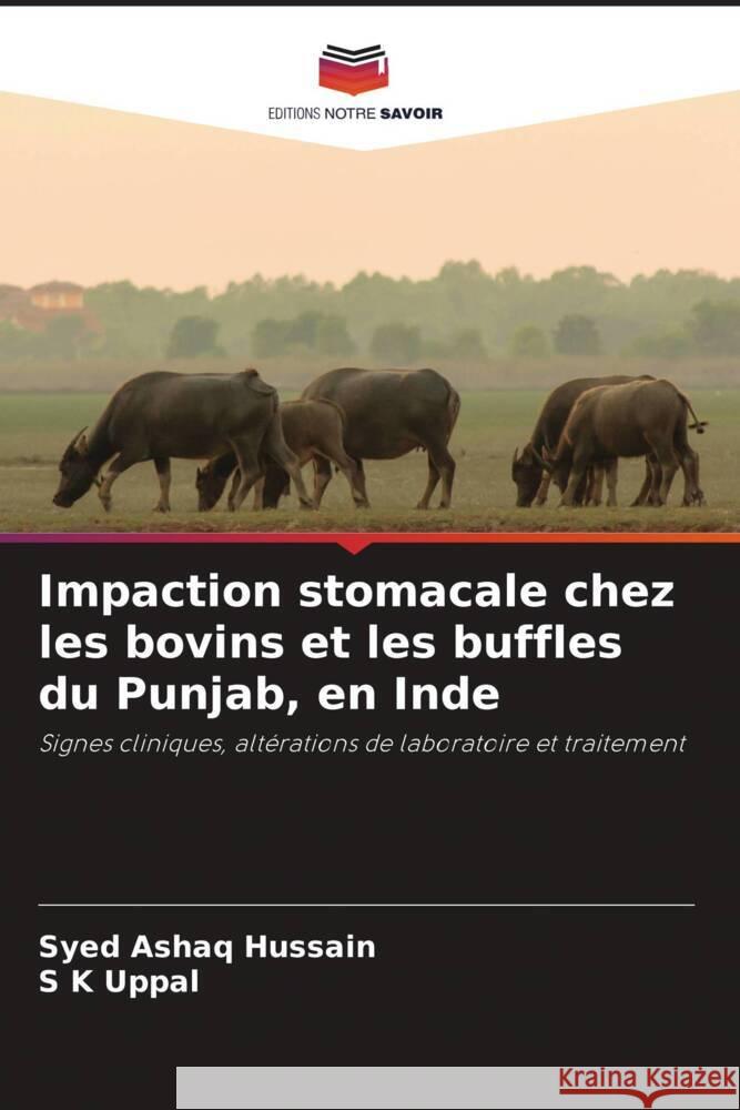 Impaction stomacale chez les bovins et les buffles du Punjab, en Inde Hussain, Syed Ashaq, Uppal, S K 9786205551202 Editions Notre Savoir