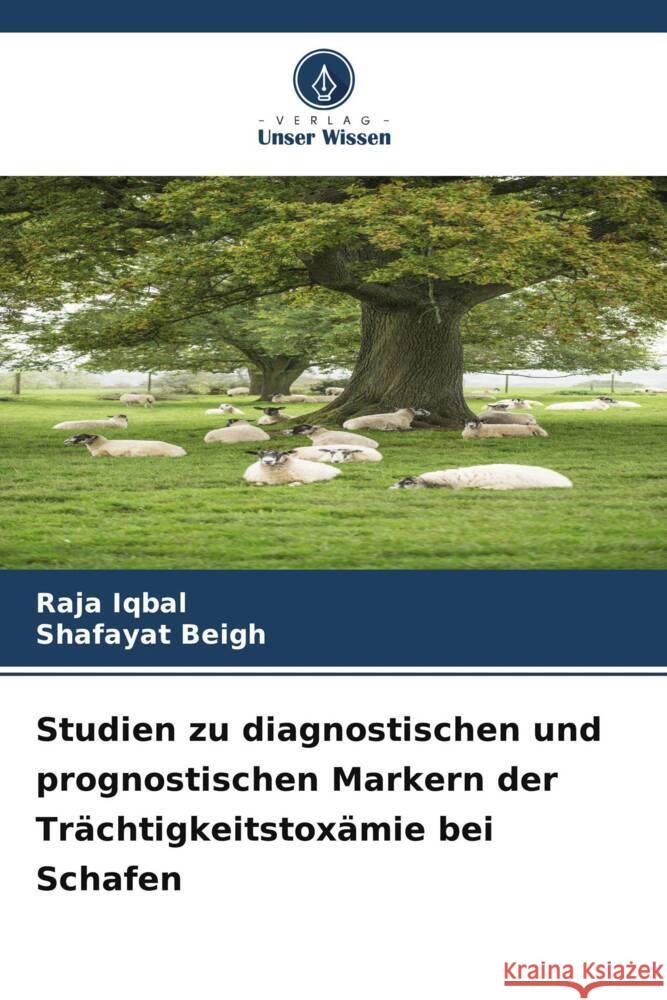 Studien zu diagnostischen und prognostischen Markern der Trächtigkeitstoxämie bei Schafen Iqbal, Raja, Beigh, Shafayat 9786205552940