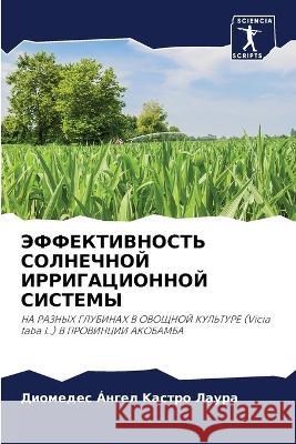 ЭФФЕКТИВНОСТЬ СОЛНЕЧНО&# Kастро  9786205559208 Sciencia Scripts