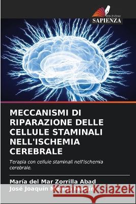 Meccanismi Di Riparazione Delle Cellule Staminali Nell\'ischemia Cerebrale Mar?a del Mar Zorrill Jos? Joaqu?n Merin 9786205579671 Edizioni Sapienza