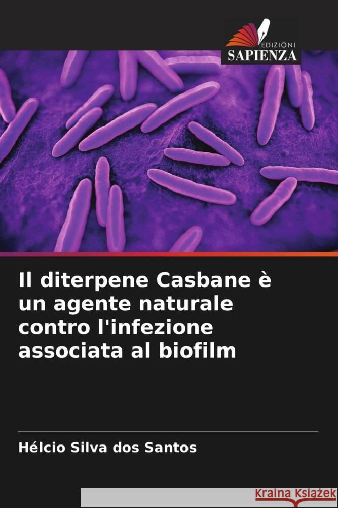 Il diterpene Casbane è un agente naturale contro l'infezione associata al biofilm Silva dos Santos, Hélcio 9786205586921 Edizioni Sapienza