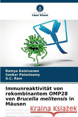 Immunreaktivitat von rekombinantem OMP28 von Brucella melitensis in Mausen Ramya Kalaivanan Sankar Palanisamy G C Ram 9786205653517