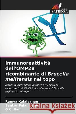 Immunoreattivita dell'OMP28 ricombinante di Brucella melitensis nel topo Ramya Kalaivanan Sankar Palanisamy G C Ram 9786205653548