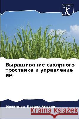 Vyraschiwanie saharnogo trostnika i uprawlenie im Ansari, Mohammad Israil 9786205653913