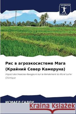 Рис в агроэкосистеме Маг  САДОУ 9786205664674 Sciencia Scripts