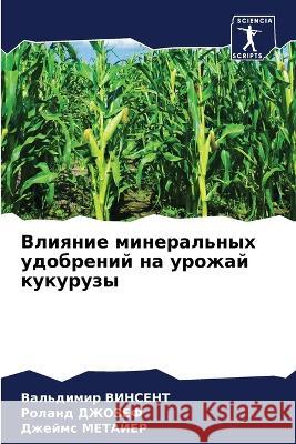 Влияние минеральных удо& ВИНСЕi ДЖОЗЕj МЕТАЙ 9786205684030 Sciencia Scripts