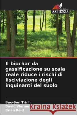 Il biochar da gassificazione su scala reale riduce i rischi di lisciviazione degli inquinanti del suolo Bao-Son Trinh David Werner Brian Reid 9786205725771