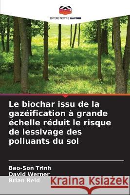 Le biochar issu de la gaz?ification ? grande ?chelle r?duit le risque de lessivage des polluants du sol Bao-Son Trinh David Werner Brian Reid 9786205725788