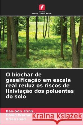 O biochar de gaseifica??o em escala real reduz os riscos de lixivia??o dos poluentes do solo Bao-Son Trinh David Werner Brian Reid 9786205728291