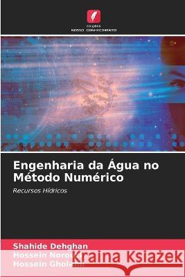 Engenharia da ?gua no M?todo Num?rico Shahide Dehghan Hossein Norouzi Hossein Gholami 9786205746516 Edicoes Nosso Conhecimento