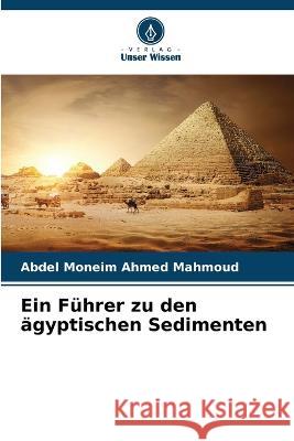 Ein F?hrer zu den ?gyptischen Sedimenten Abdel Moneim Ahme 9786205758939 Verlag Unser Wissen