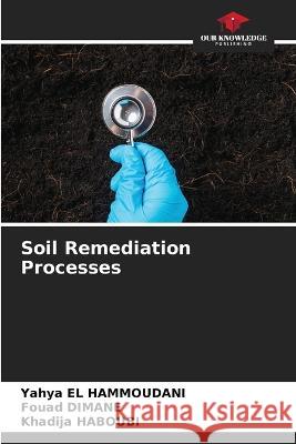 Soil Remediation Processes Yahya E Fouad Dimane Khadija Haboubi 9786205765005