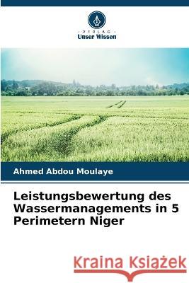 Leistungsbewertung des Wassermanagements in 5 Perimetern Niger Ahmed Abdou Moulaye   9786205784648