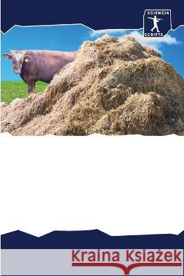 Bytowye biodigesternye ustanowki Rewe, Thomas, Muindi, Esther, Karangwa, Antoine 9786205790687