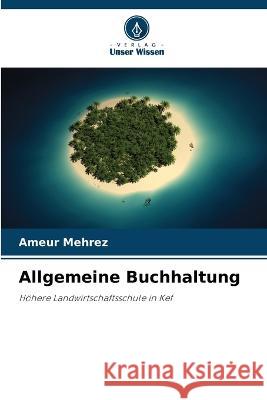 Allgemeine Buchhaltung Ameur Mehrez 9786205876596