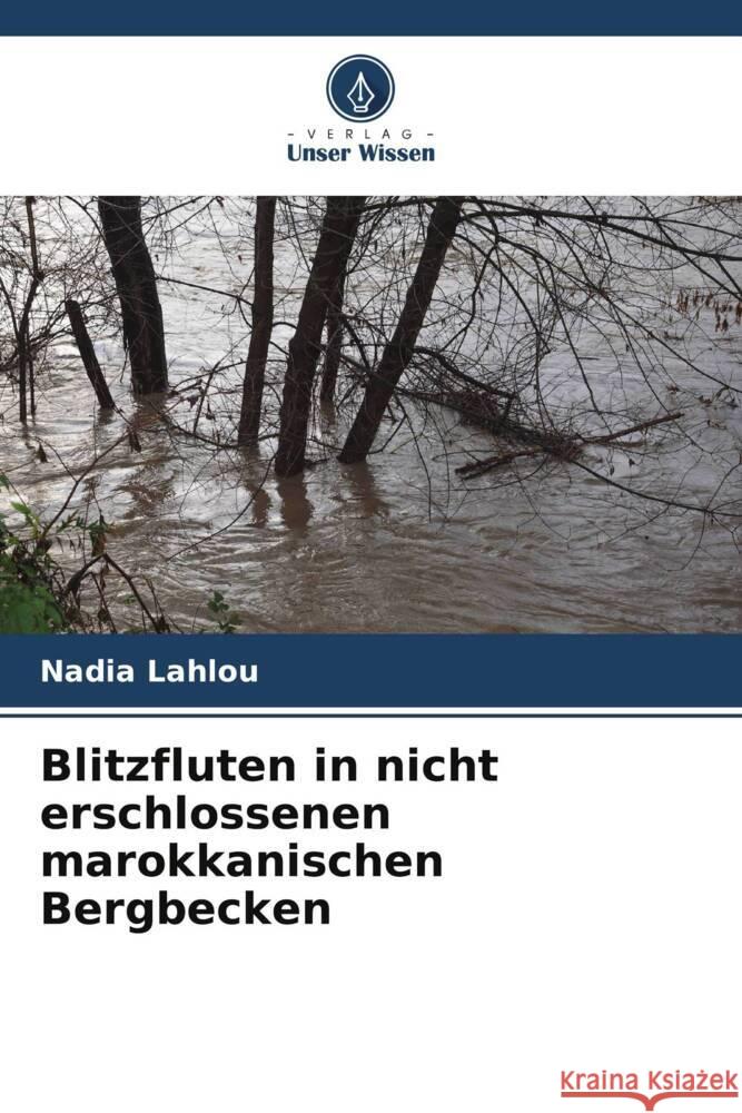 Blitzfluten in nicht erschlossenen marokkanischen Bergbecken Nadia Lahlou   9786205879450