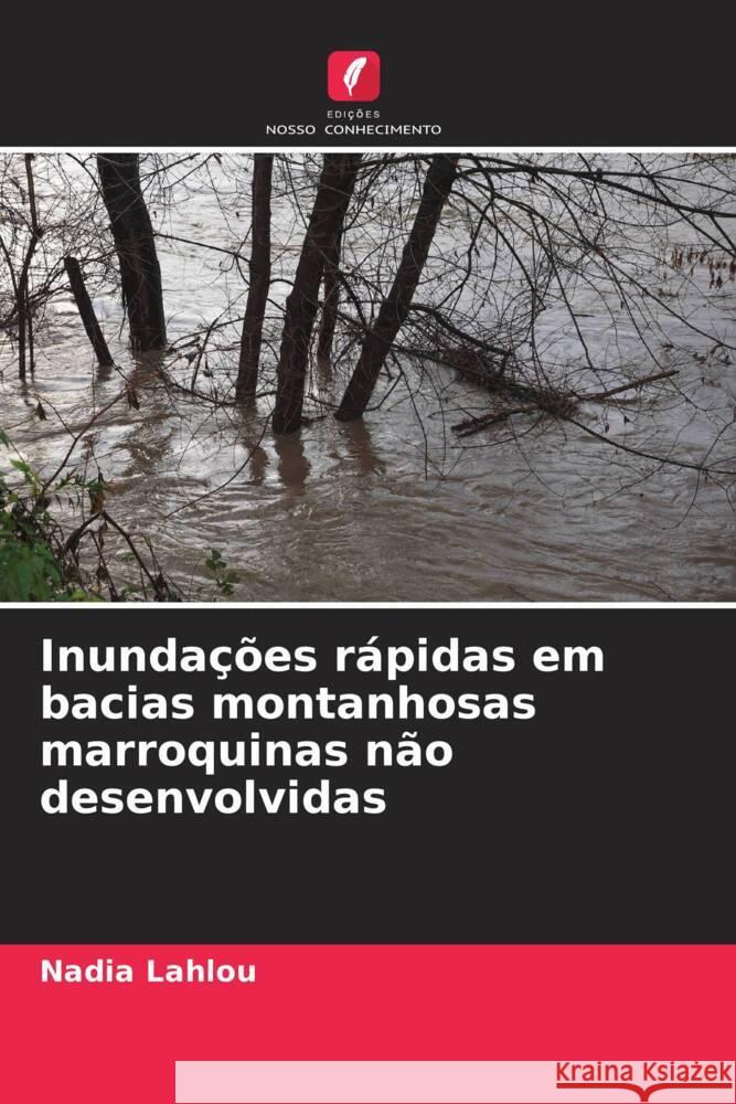 Inundacoes rapidas em bacias montanhosas marroquinas nao desenvolvidas Nadia Lahlou   9786205879498