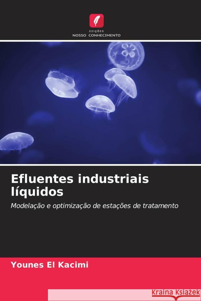 Efluentes industriais liquidos Younes El Kacimi   9786205884812