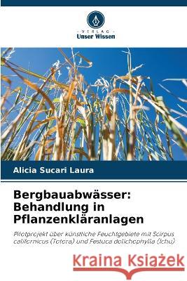Bergbauabwasser: Behandlung in Pflanzenklaranlagen Alicia Sucari Laura   9786205894972 Verlag Unser Wissen