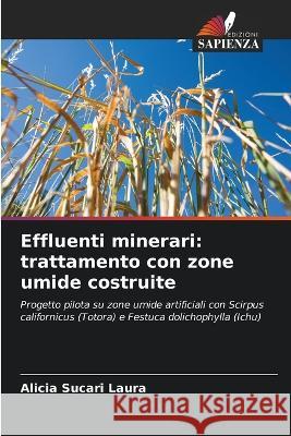 Effluenti minerari: trattamento con zone umide costruite Alicia Sucari Laura   9786205895030 Edizioni Sapienza