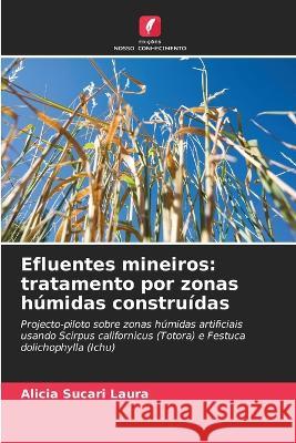 Efluentes mineiros: tratamento por zonas humidas construidas Alicia Sucari Laura   9786205895047 Edicoes Nosso Conhecimento