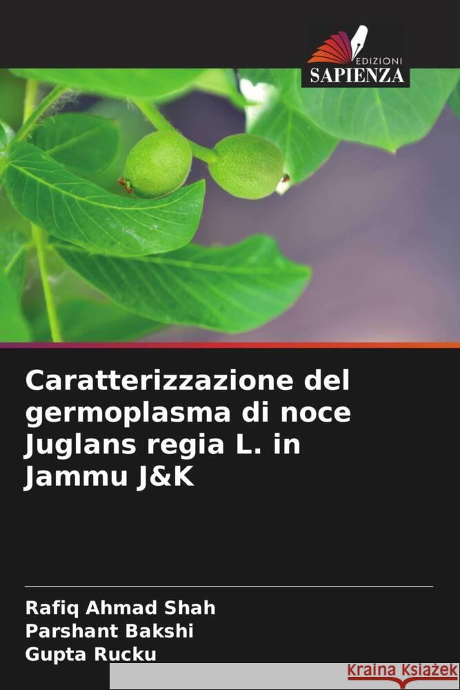 Caratterizzazione del germoplasma di noce Juglans regia L. in Jammu J&K Rafiq Ahmad Shah Parshant Bakshi Gupta Rucku 9786205914304