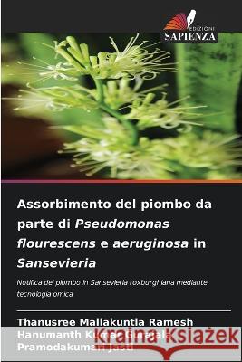 Assorbimento del piombo da parte di Pseudomonas flourescens e aeruginosa in Sansevieria Thanusree Mallakuntla Ramesh Hanumanth Kumar Gurajala Pramodakumari Jasti 9786205924730 Edizioni Sapienza