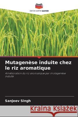 Mutagenese induite chez le riz aromatique Sanjeev Singh   9786205940235 Editions Notre Savoir