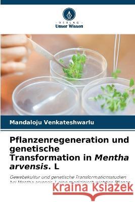 Pflanzenregeneration und genetische Transformation in Mentha arvensis. L Mandaloju Venkateshwarlu   9786205944899