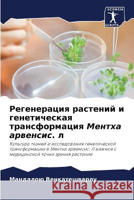 Regeneraciq rastenij i geneticheskaq transformaciq Mentha arwensis. l Venkateshwarlu, Mandaloü 9786205944936